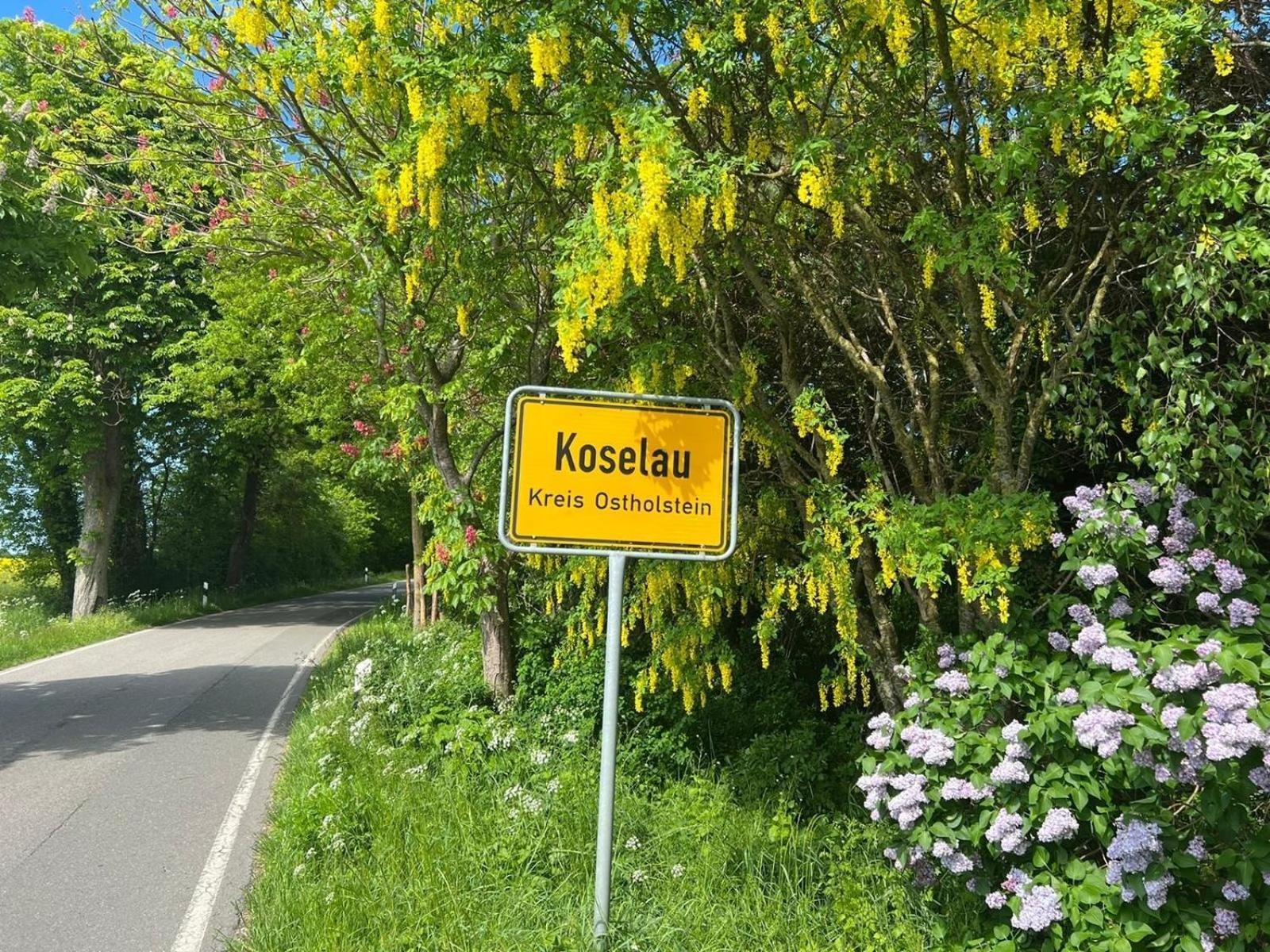 Gut Koselau Landhaus II エクステリア 写真